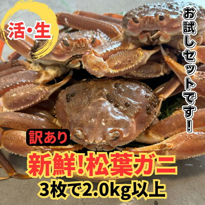 【ふるさと納税】【さかなや新鮮組】鳥取県産 訳あり 活松葉ガニ2.0kgセット ご家庭用 漁港直送【配送不可地域：離島・北海道・沖縄県・東北・信越、北陸】【1759407】