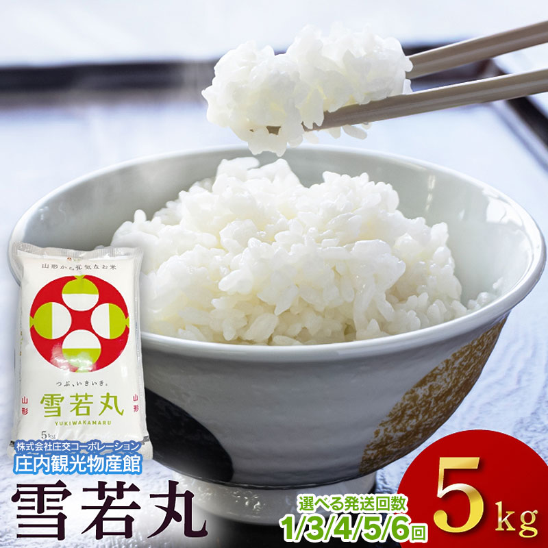 【ふるさと納税】【選べる定期便】令和7年産山形県産 雪若丸 精米5kg（1回・3〜6ヶ月）　庄内観光物産館