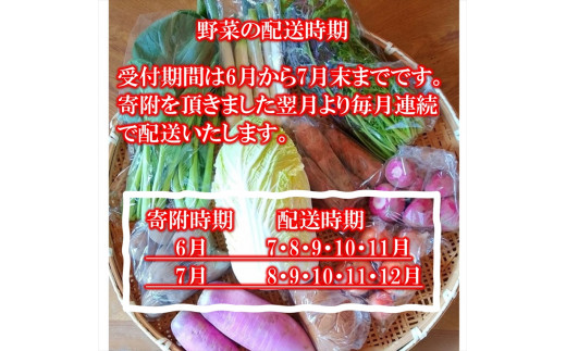 【5ヶ月定期便】旬の野菜7種『たくみのほほ笑みセット』（2025年7～12月出荷／北海道・九州・沖縄県・離島は配送不可） 旬彩 長野県 信州 おまかせ 高原  産地直送 季節 詰合せ 有機 栽培