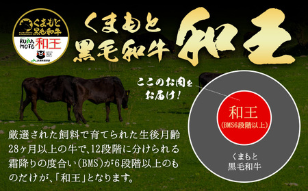 熊本県産A5等級和王 カタローススライス 約400g 帝神志方ミート株式会社《90日以内に出荷予定(土日祝除く)》熊本県 菊池市 牛肉 肉 お肉 和牛 くまもと黒毛和牛 熊本県産 A5 和王 肩ロース