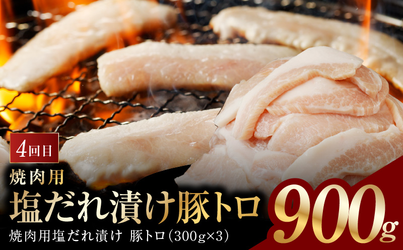 アキラ商店 肉三昧 総量 4kg以上 定期便 全4回【毎月配送コース お楽しみ 焼肉 ていきびん 焼くだけ 小分け BBQ やきにく 数量限定 大阪 泉佐野 大阪府 泉佐野市】