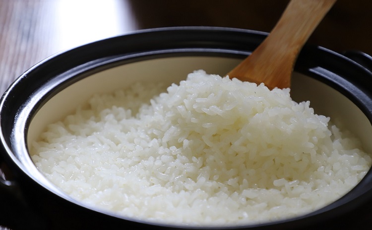 《 先行予約 》 こしひかり 京丹波町産 15kg 令和8年産米 精米 お米 京都 丹波 コシヒカリ 特A獲得 産地直送 ※北海道・沖縄は配送不可 [036OK001]
