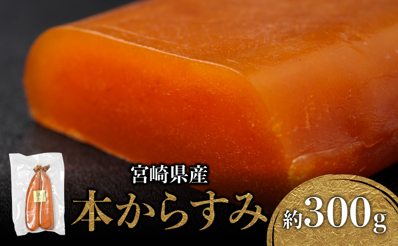 宮崎県産本からすみ 約300g_M017-022_01