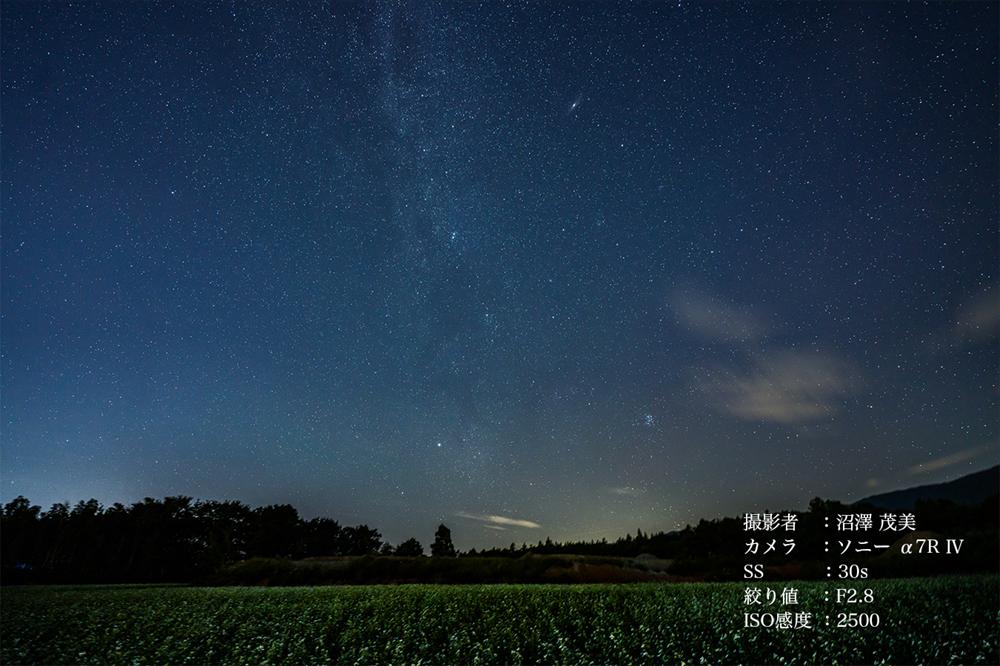 SIGMA 14-24mm F2.8 DG DN | Art【Lマウント用】 | カメラ レンズ 家電