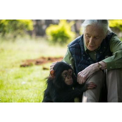 ふるさと納税 富士吉田市 【訳あり】動物保護支援 ブレンドコーヒー豆160g×4袋計640g SDGsふるさと納税で国際貢献 |  | 02