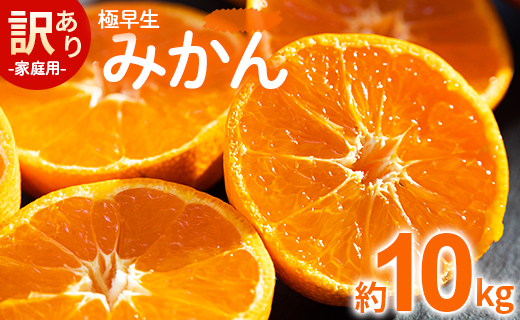 みかん 10kg 極早生 家庭用 訳あり 極早生みかん 約10kg - 家庭用 フルーツ みかん 柑橘 be-0070