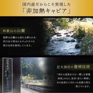 近大キャビア10ｇ×1個