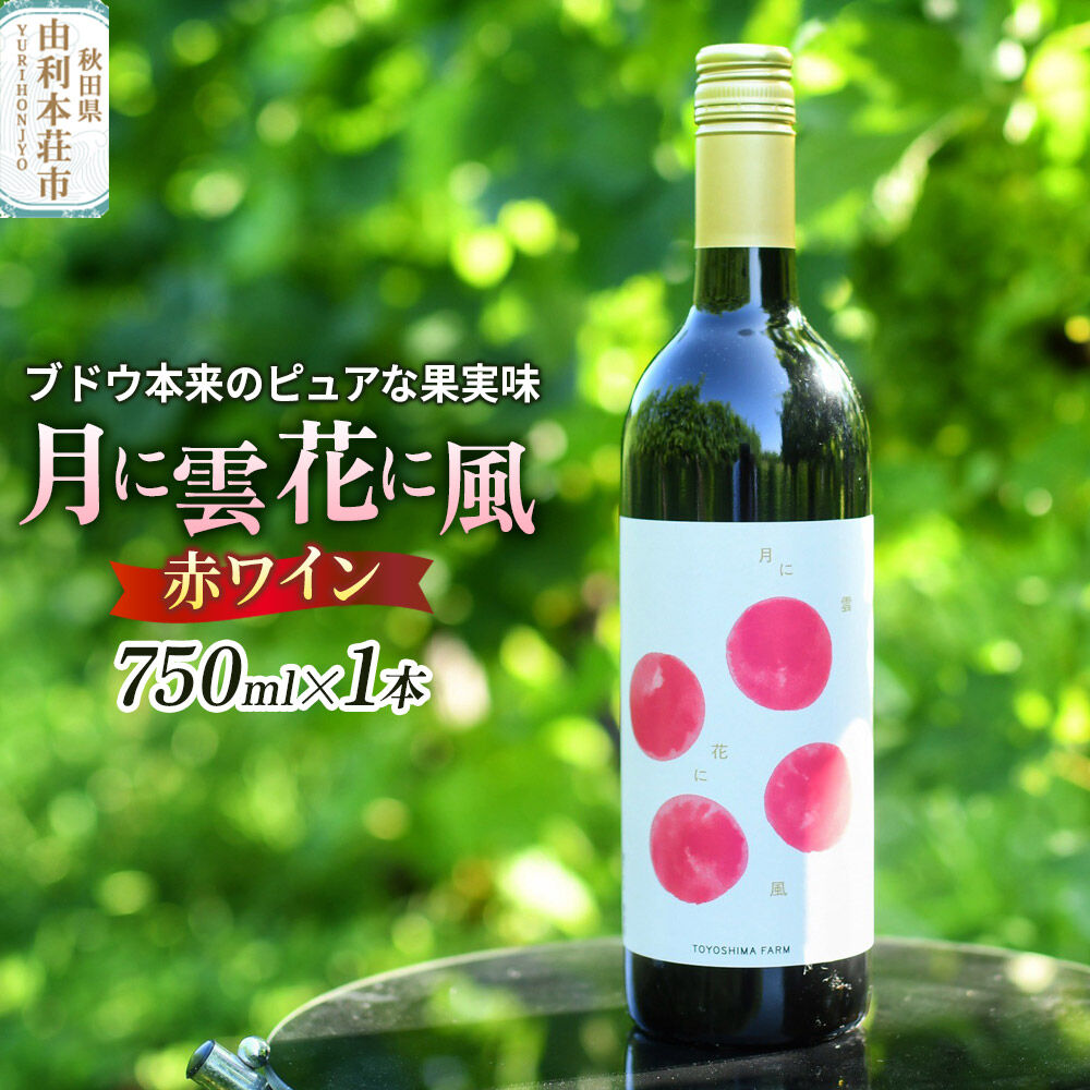 【ふるさと納税】赤ワイン「月に雲 花に風」（スティルワイン赤）750ml×1本 [赤ワイン ワイン 酒 お酒 アルコール 飲料 国産 日本産 秋田 TOYOSHIMA FARM]