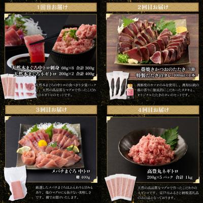 ふるさと納税 室戸市 【贅沢定期便「鶴」/全6回】タカシン水産厳選 高知の海鮮セット |  | 02