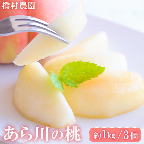 【ふるさと納税】【予約受付】あら川の桃 大玉3個入り 橋村農園《2025年7月上旬-8月上旬出荷》和歌山県 紀の川市