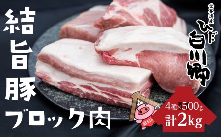 白川郷 結旨豚 ブロック肉 4種セット 計2kg 豚肉 ぶた肉 ブロック肉 国産肉 真空パック かたまり肉 肉 バーベキュー BBQ キャンプ ステーキ ロース 肩ロース バラ肉 もも肉 食べ比べ [S225]