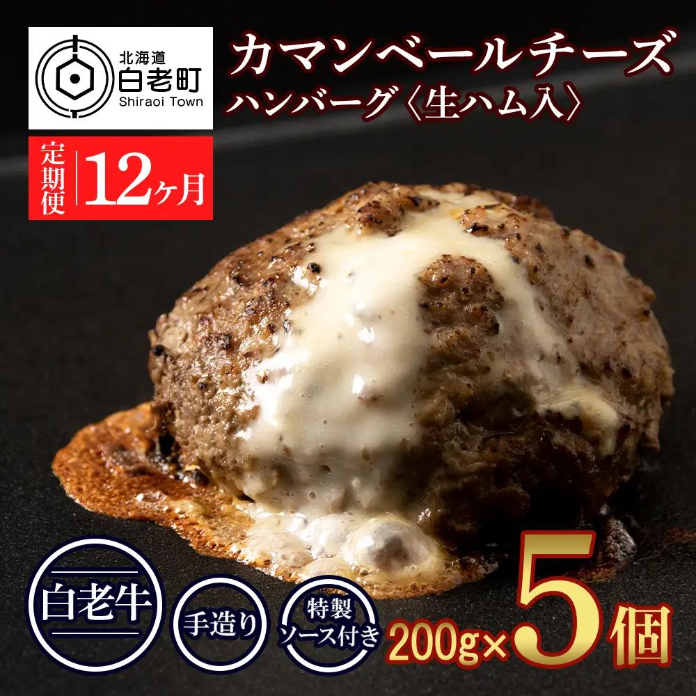 定期便12ヵ月 お楽しみ 北海道産 白老牛 カマンベールチーズハンバーグ 5個セット BY114