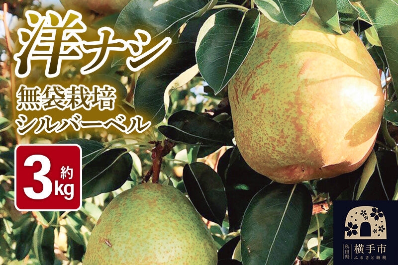 
                  《先行受付！11月上旬より順次発送》洋梨 横手市産 小松谷りんご園謹製 無袋栽培シルバーベル 約3kg [先行予約 生きがい食材納入組合]
                