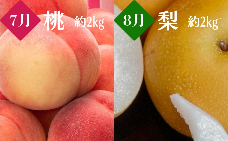 観音寺市のいいとこどり定期便【全6回】 果物 フルーツ 桃 梨 シャインマスカット 小原紅早生 さぬき姫 いちご せとか デコポン