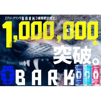 ふるさと納税 各務原市 エナジードリンク　BARK　1ケース(30本)【911】 |  | 03