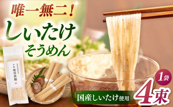 
            しいたけ素麺 1袋（4束） 桂川町/オドラ株式会社 [ADBA016]
          