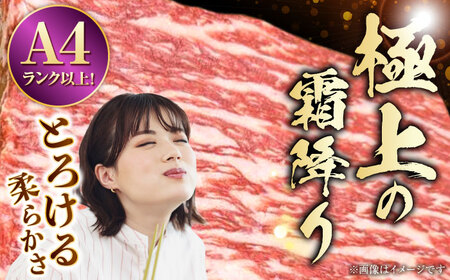 熊本県産 A5等級 黒毛和牛 和王赤身ブロック 約500g【帝神志方ミート 株式会社】[AYCH014]