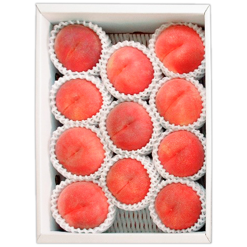 山形産 白桃 [柔らかくなる桃] 3kg(8～14玉) 秀品 品種おまかせ 【令和8年産先行予約】FS25-604