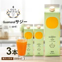 【ふるさと納税】「サジー+ゆず」ジュース 1,000ml×3本 セット｜サジージュース サジー シーベリー 沙棘 グアマラル 健康ドリンク 健康 美容 栄養 果汁 鉄分補給 栄養補給 健康食品 ギフト 贈答 贈り物 プレゼント お祝 ご褒美 記念品 景品 お中元 お歳暮 飲み物 _DX08