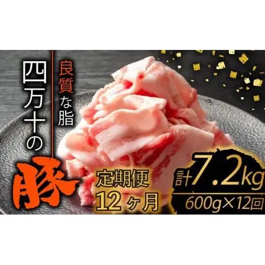 【 スライス 】 豚肉定期便 スライス 全12回 計7.2kg （600g×12ヶ月)