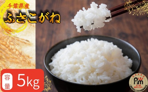 千葉県産 ふさこがね 5kg 米 こめ ごはん 白米 お米 ギフト 炊き込みご飯 混ぜご飯 朝食 昼食 夕食 おにぎり おじや おかゆ 贈物 日用品 食品 備蓄 防災 お取り寄せ グルメ 美味しい ふるさと納税 ふるさと納税米 送料無料 千葉県 銚子市 根本商店