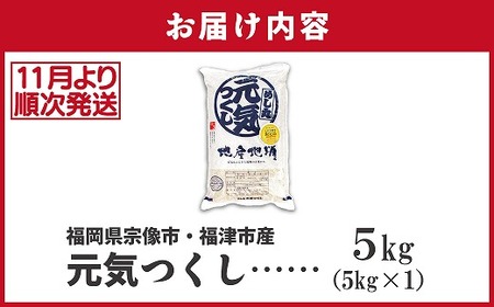 【令和7年産米】【2025年11月より順次発送】JAよりお届け！福岡県ブランド米「元気つくし」 5kg（5kg×1袋）[G2310]