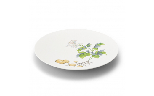 【伊万里焼】プレート 平皿 Potatoes φ29cm Plate H833_イメージ2