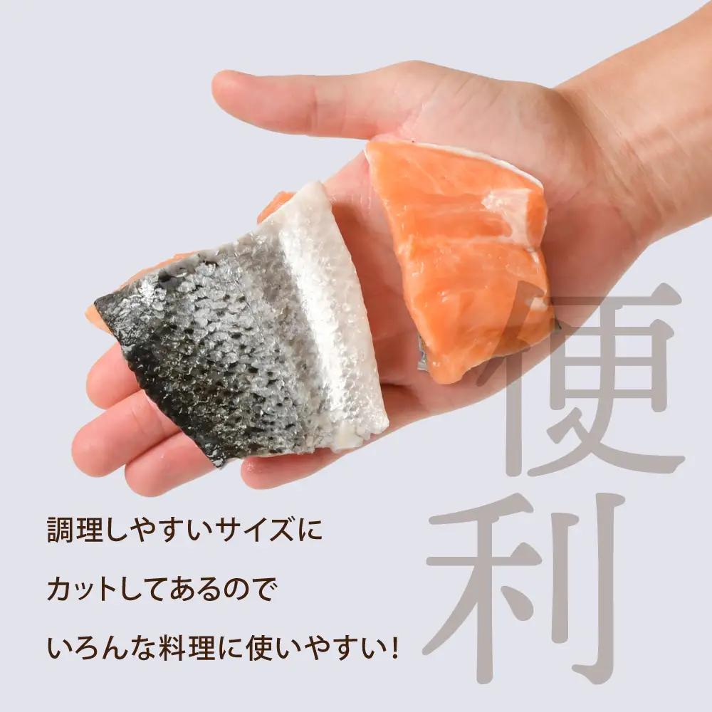 訳あり 鮭 子供も安心 骨取り 2.1kg 切落し [ 宮城県塩竈市 ] 鮭