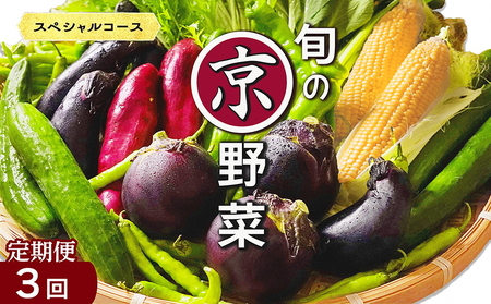 【3回定期便】旬の京野菜セット スペシャルコース 野菜