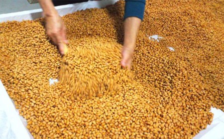 味噌【アグリット久米島】満天久米島みそセット 米麹