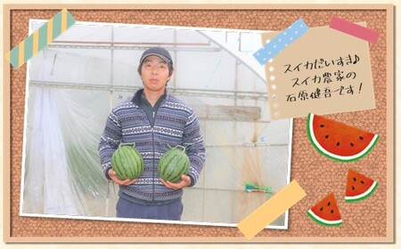  【 順次出荷中 ！】 小玉スイカ 熊本和水町産 スイカ 小玉 (2玉)
