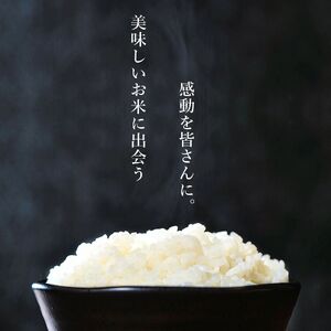 令和7年産 新米 五ヶ瀬町産米 こしひかり 5kg | お米 米 ブランド こめ 白米 九州 宮崎県 五ヶ瀬町 白米