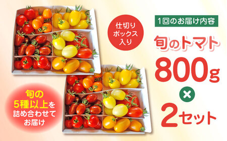 【全2回定期便】【期間限定】熊本県産 減農薬栽培 トマト ミディトマト 詰め合わせ 800g×2セット 計1600g 食べ比べ ギフトセット 産地直送【矢仁田農園】[YDE018]