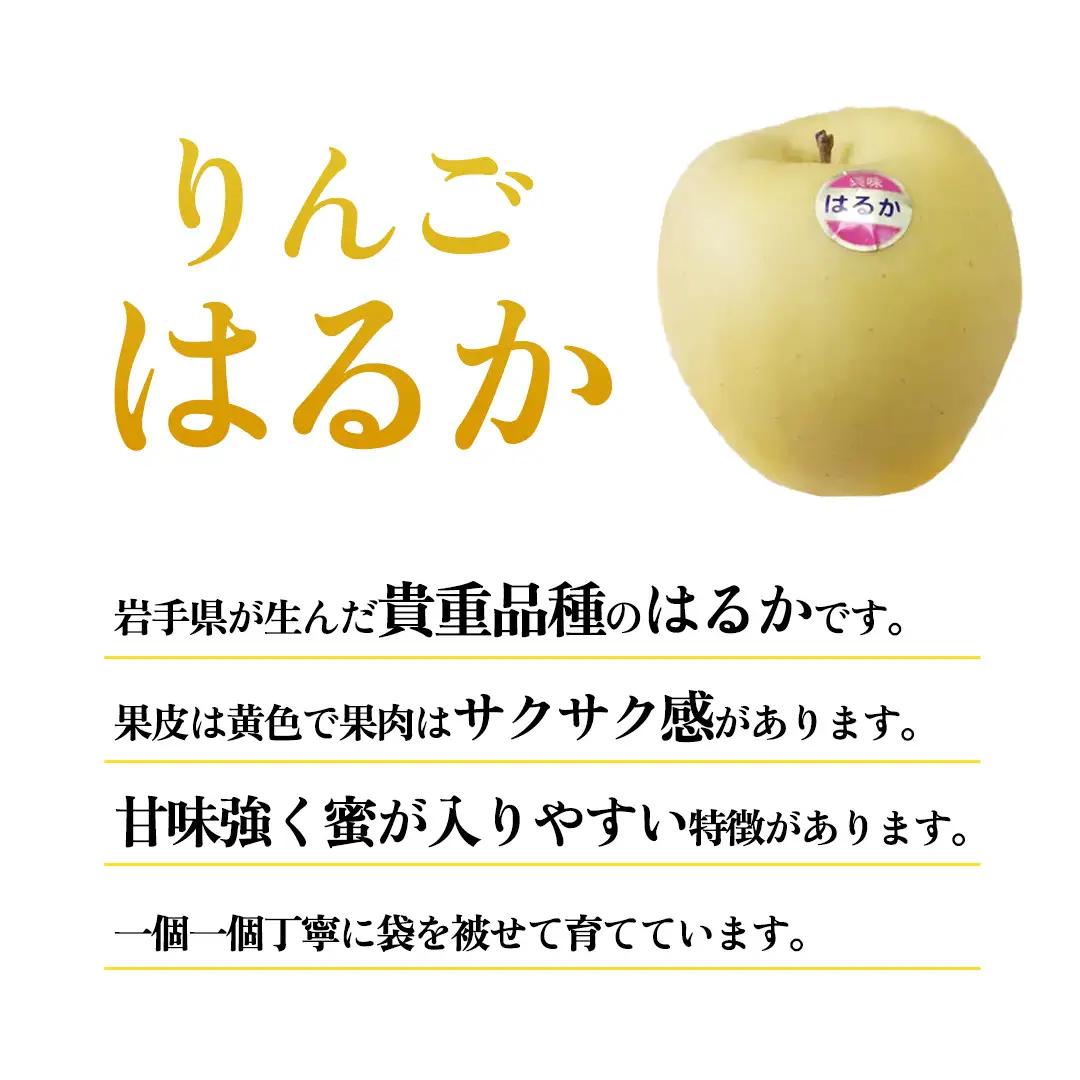 【ご家庭用】りんご はるか 約3kg (6～11玉) (FH003)