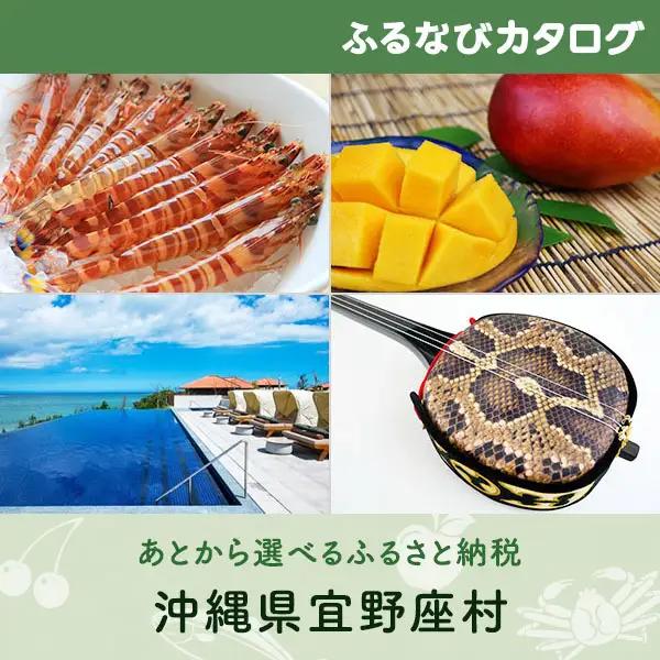 【有効期限なし！後からゆっくり特産品を選べる】沖縄県宜野座村カタログポイント