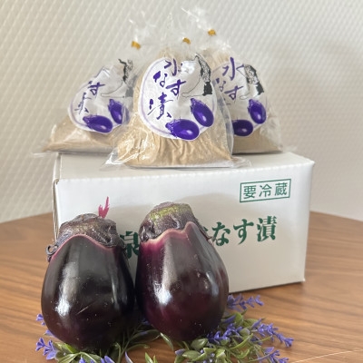 
                  泉州名物水なす浅漬け3個+生水なす2個【1736895】
                