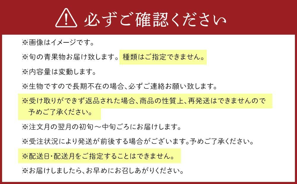 【年4回お届け（3・6・9・12月）】紀南の採れたて野菜・フルーツ定期便（春・夏・秋・冬）8〜15品目詰め合わせ