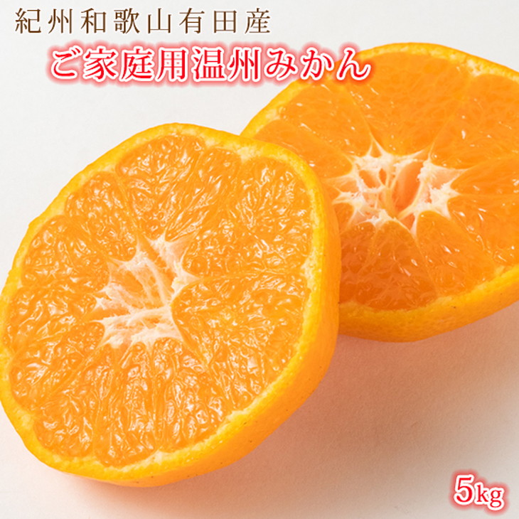 【先行予約】【ご家庭用訳あり】紀州和歌山有田産温州みかん5kg