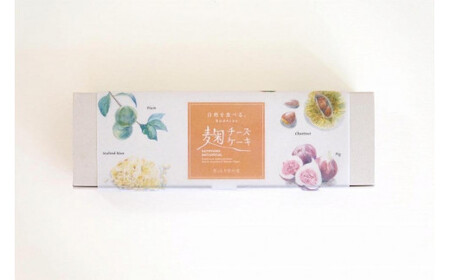 麹チーズケーキ（ぎっしり里の実）4～6人用（無添加・グルテンフリー）［里山ボタニカル］