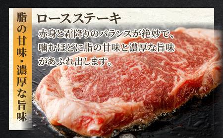 ≪定期便≫＼1か月に2回お届け!!／牛＆豚のたっぷりロース肉セット【総重量3.6kg】 肉 牛 牛肉 おかず 国産_T030-036【人気 肉 ギフト 肉 食品 肉 お肉 肉 しゃぶしゃぶ 肉 焼肉 