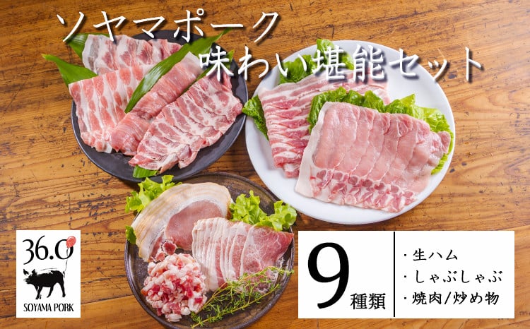 
            ソヤマポーク味わい堪能3種セットTF0830-P00078
          