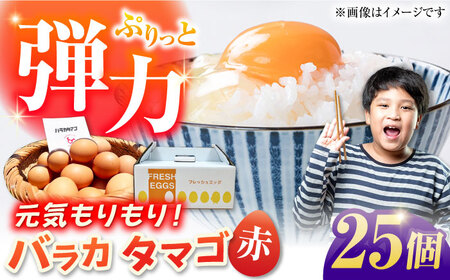 【お得な箱入り】バラカタマゴ 25個入 M~Lサイズ 卵 玉子 たまご 国産  鶏卵 生卵 生食 玉子 タマゴ 卵かけご飯 卵焼き 国産 ギフト プレゼント 贈り物 贈答 ビタミン ビタミンE 低コレステロール コレステロール 健康 純国産 ばらかもん ばらか 五島 鶏卵 生卵 生食 玉子 タマゴ 卵かけご飯 卵焼き 国産 ギフト プレゼント 贈り物 贈答 ビタミン ビタミンE 低コレステロール コレステロール 健康 純国産 ばらかもん ばらか 五島 五島市 / 五島列島大石養鶏場 [PFQ052]