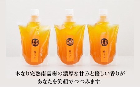 【爽やかな酸味と甘み】 梅ジュレ セット [UAZ001] 梅 うめ ウメ ジュレ 梅ジュレ小分け 南高梅 梅料理 国産梅 佐賀の梅 武雄の梅