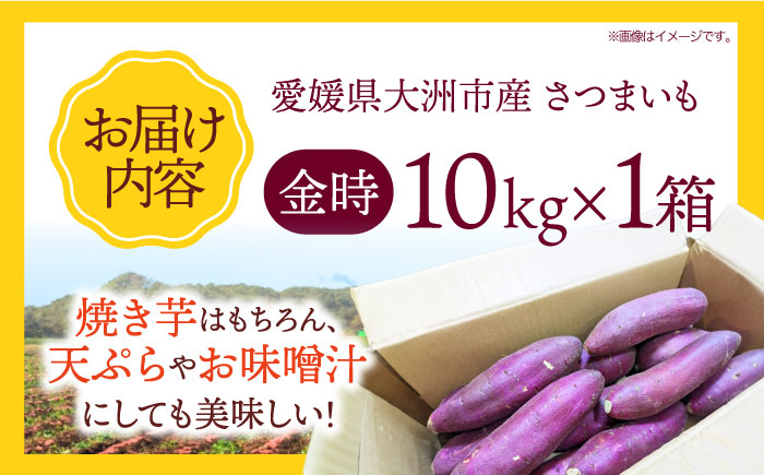 さつまいも（金時） 10kg