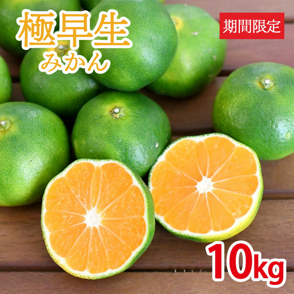 【ふるさと納税】【 先行予約 】 みかん 極早生 約 10kg ｜ みかん 期間限定 柑橘類 みかん フルーツ 果物 熊本県 熊本 くまもと 和水町 なごみ