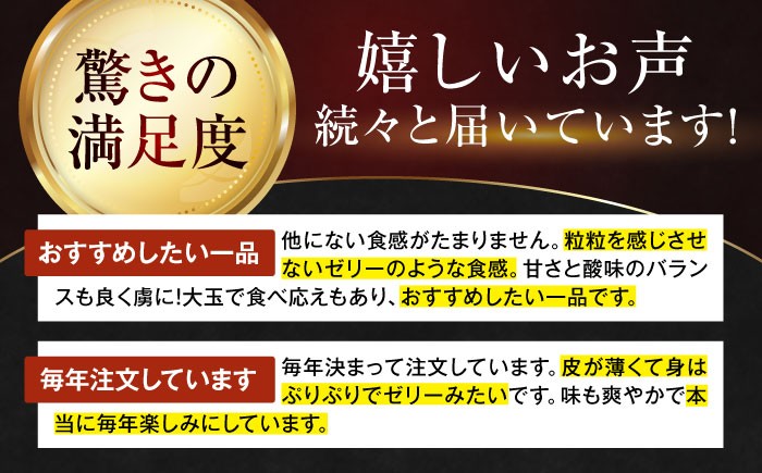 まるでゼリーのようなとろけるみかん！紅まどんな M〜L玉サイズ 約5kg　家庭用箱入（24玉～30玉）