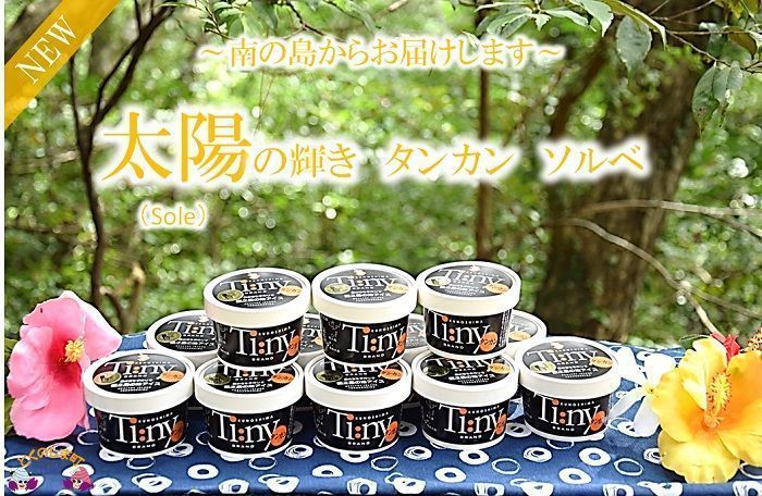 ～南の島からお届けします～太陽の輝きタンカンソルベ