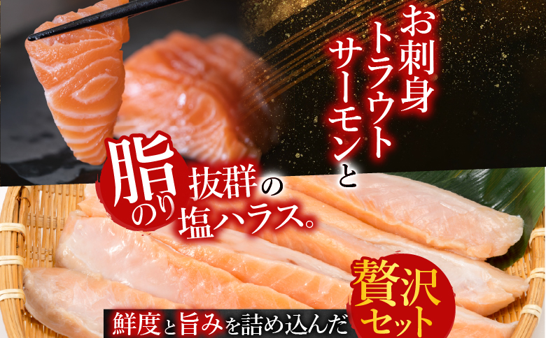 お刺身トラウトサーモン800g＆塩サーモンハラス440g A-09033