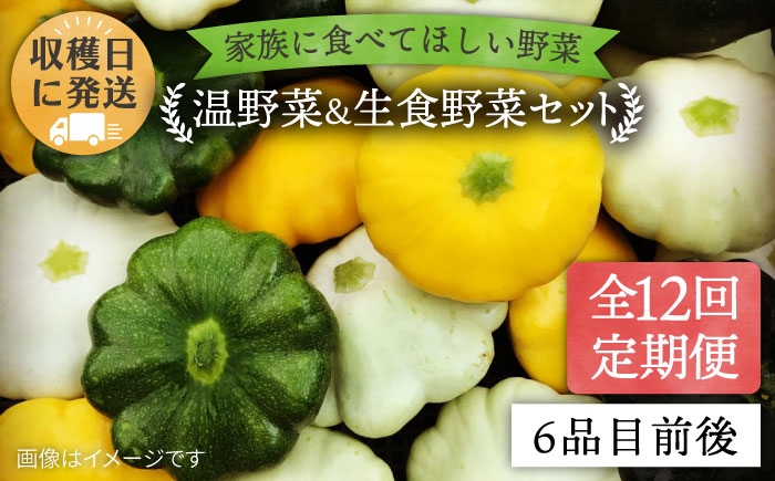
                  【 全12回定期便 】【 福岡県 糸島産 】朝採れ 温野菜＆生食野菜セット《糸島》【オーガニックナガミツファーム】	[AGE021]
                