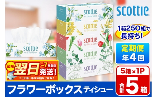 《3ヶ月ごとに4回お届け》定期便 ティッシュペーパー スコッティ ティシュー フラワーボックス 250組 5箱パック×1パック 秋田市オリジナル 最短翌日発送 [ティッシュ ボックスティッシュ]